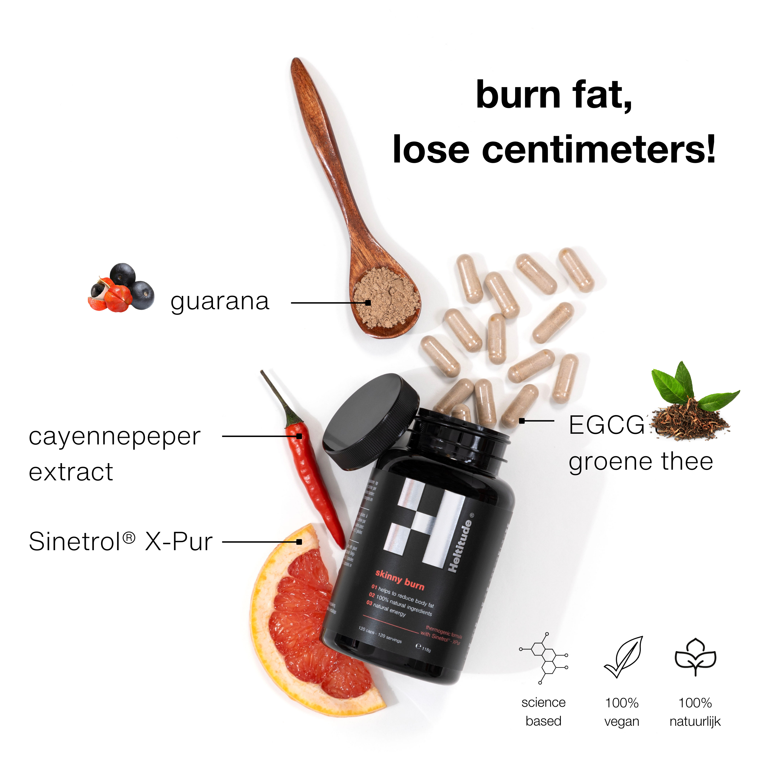 Skinny Burn