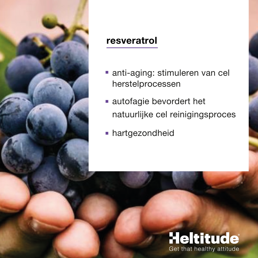 MenoGlow balance box