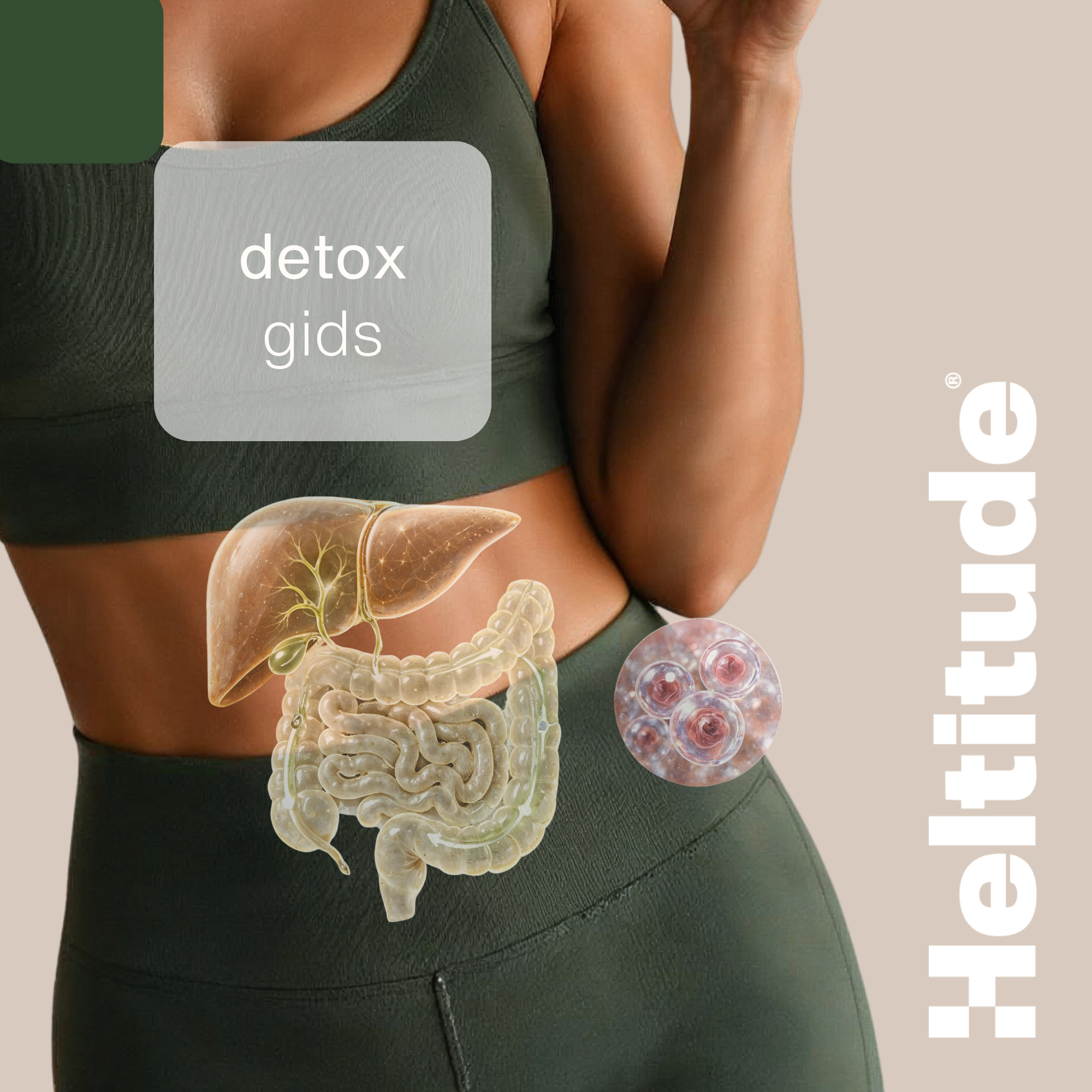 06 Detox Box - 28 dagen detox voor een lichter gevoel en meer energie