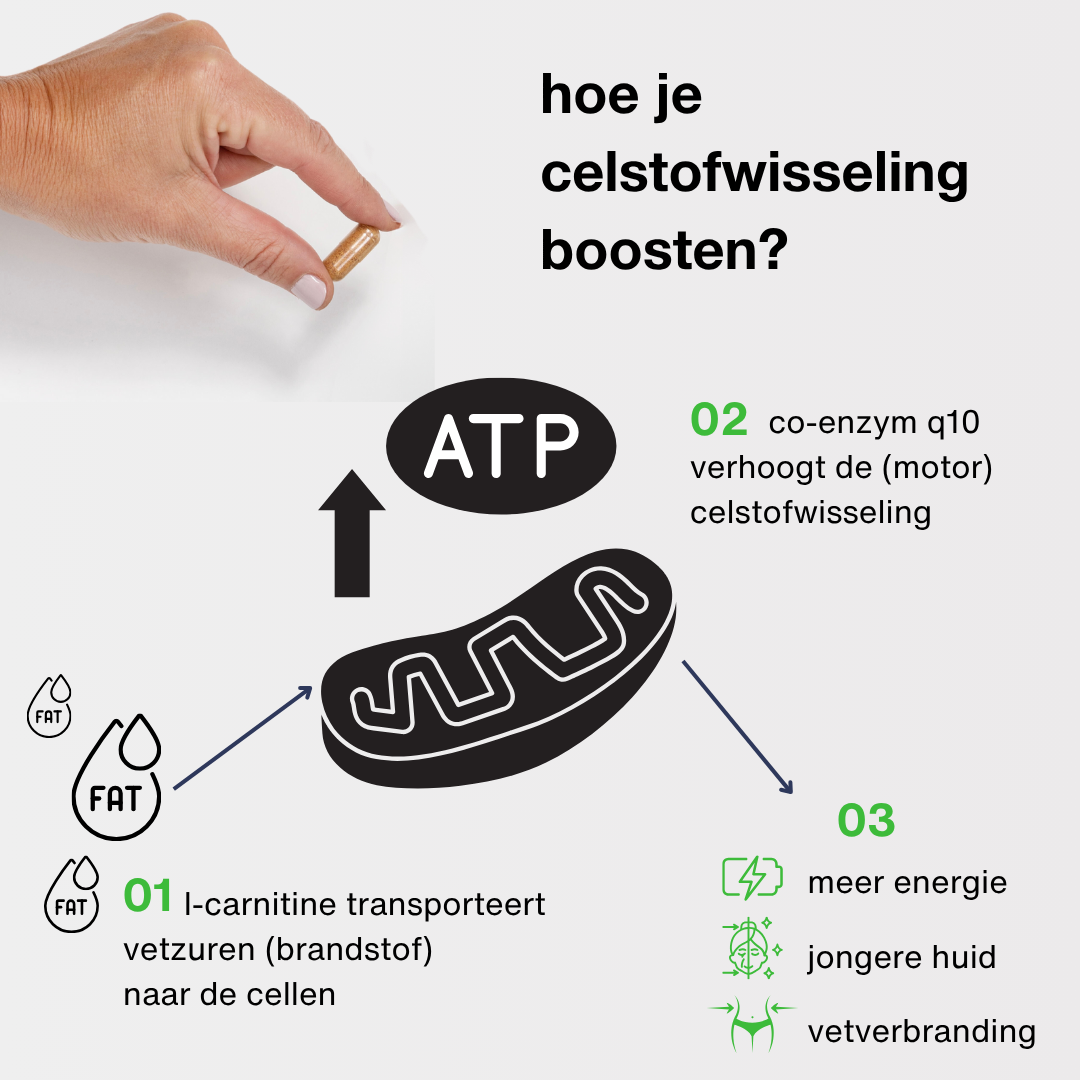MenoGlow balance box